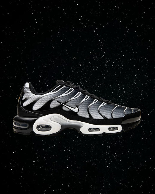 Air max tn (silver & black)