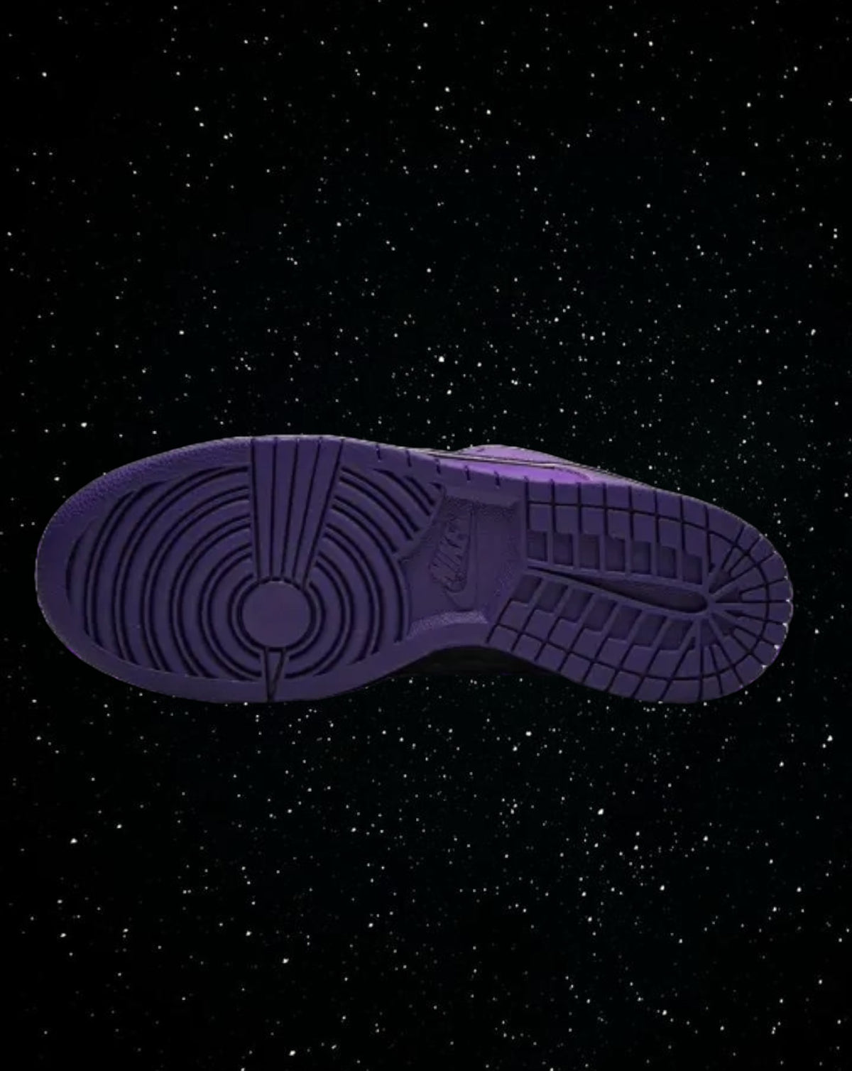 Nike sb dunks ( purple lobster)