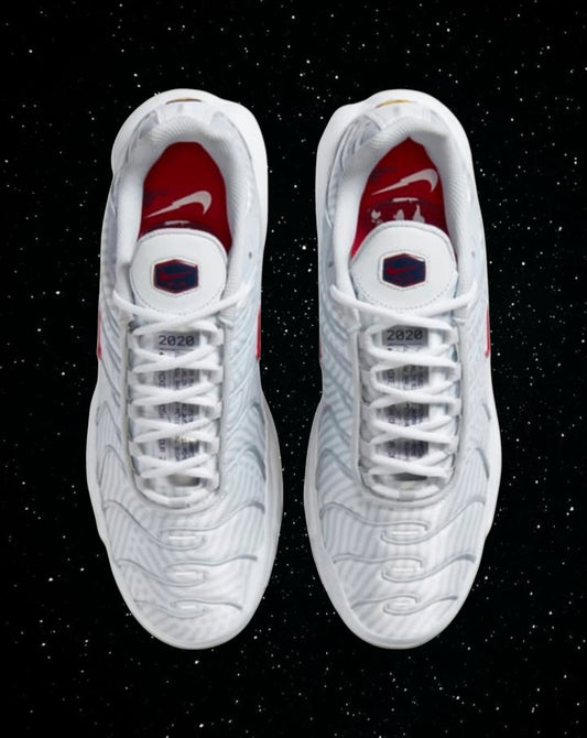 Air max tn euro tour