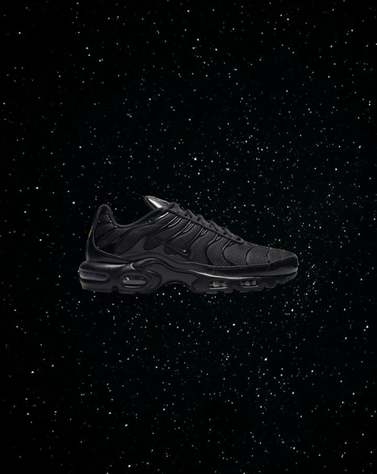 Nike air max plus (triple black)