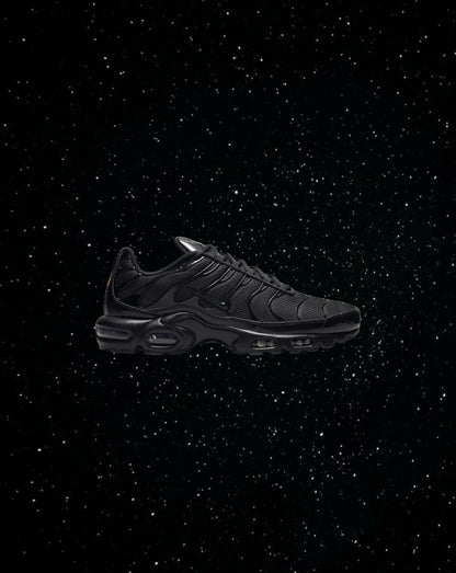 Nike air max plus (triple black)