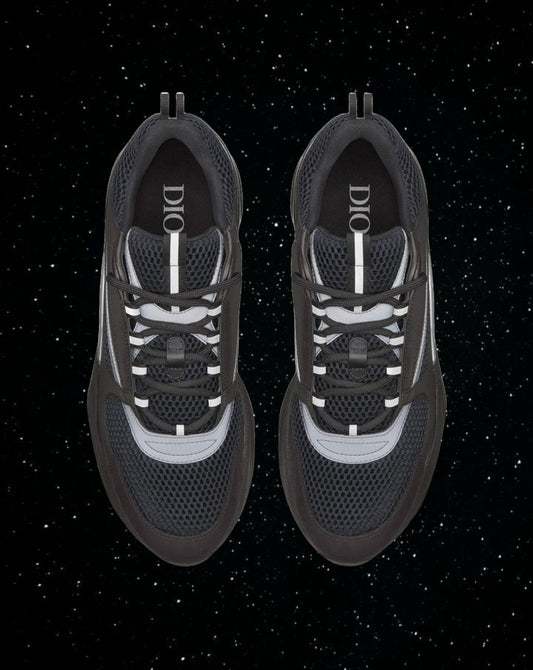 Dior b22 (black reflective)