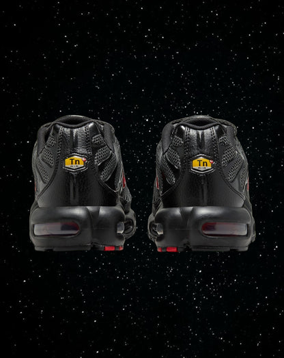 Air max tn (bred)