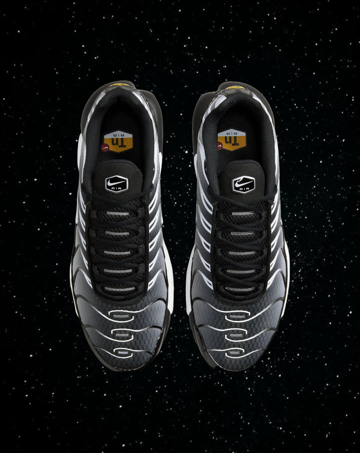 Air max tn (silver & black)