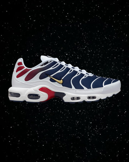 Air max tn (psg)