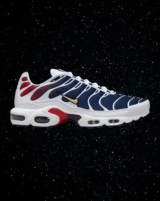 Air max tn (psg)