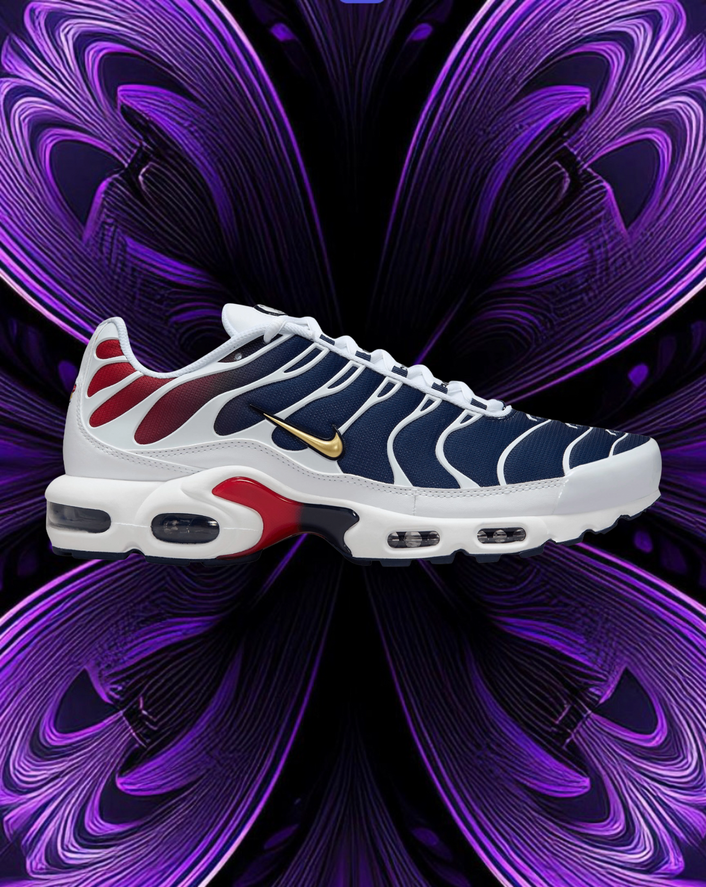 Air max tn (psg)