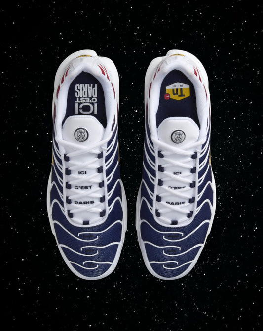 Air max tn (psg)