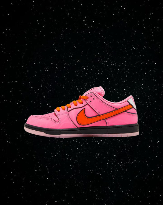 Powerpuff girls X Nike SB dunks (blossom)